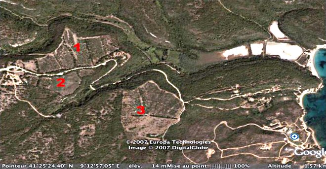 Image satellite de Cannetto